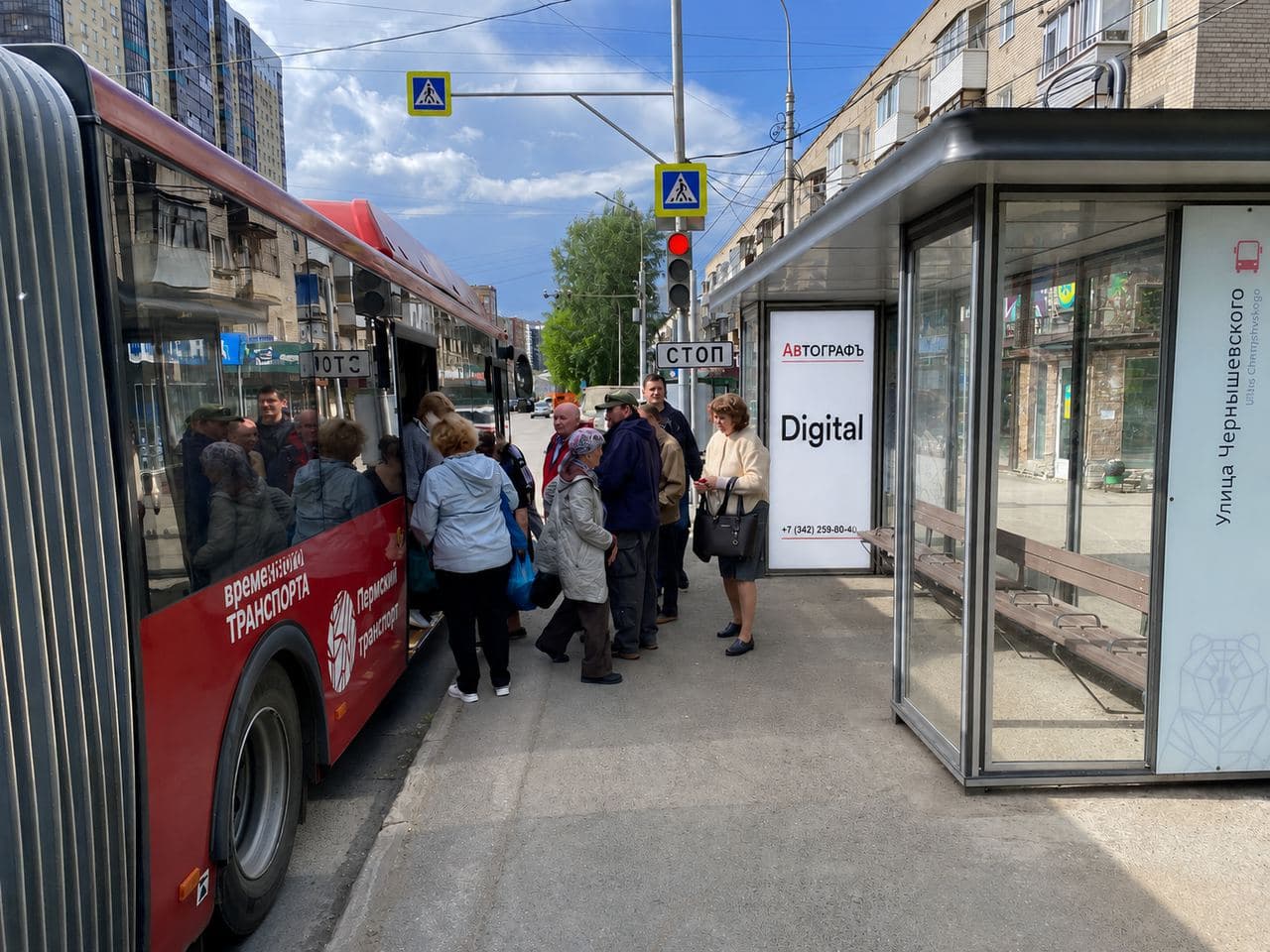 Экраны на остановках, ул. Н. Островского, 74 (ост. улица Чернышевского)