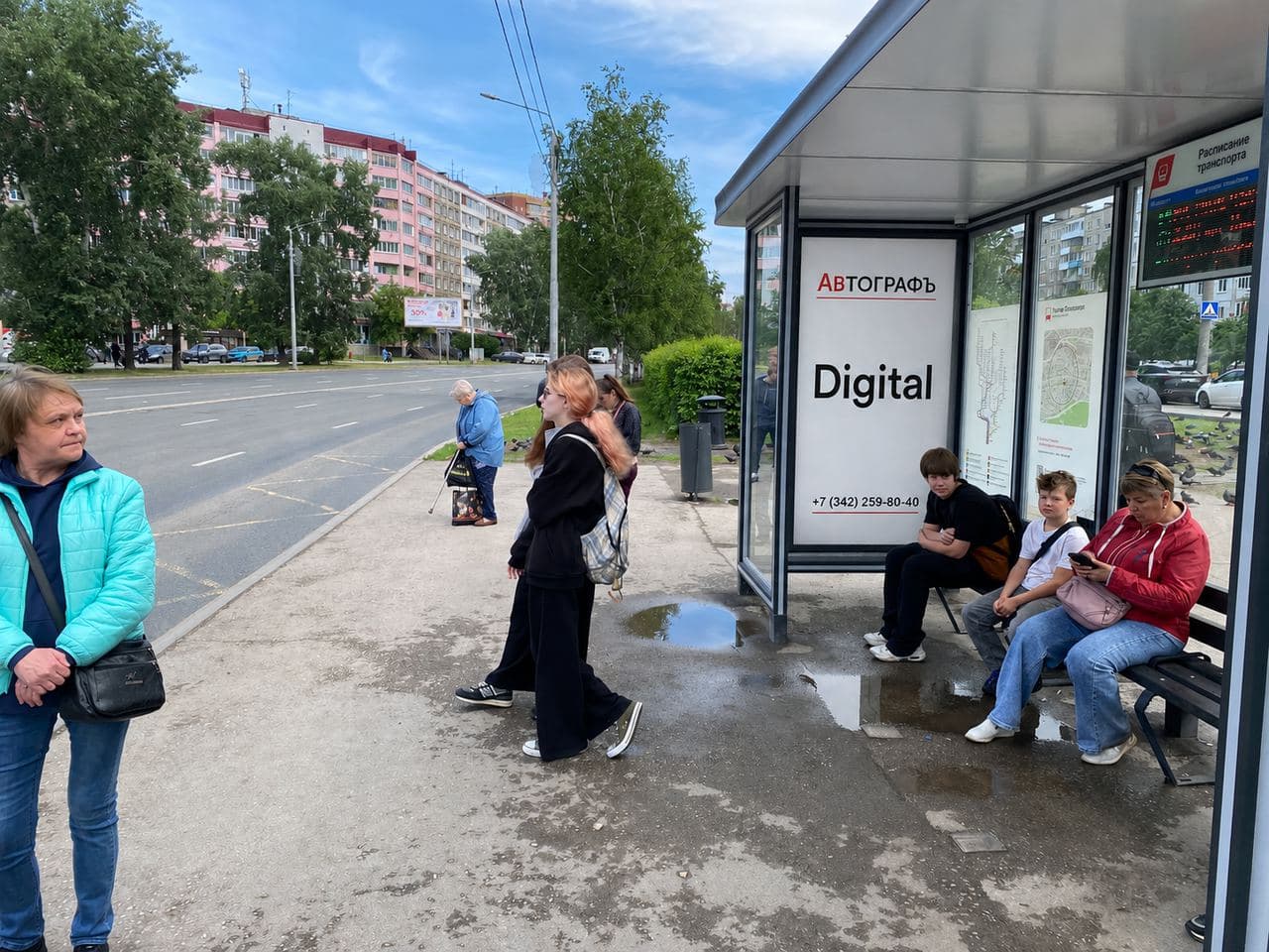 Экраны на остановках, пр. Парковый, 36 (ост. Улица Пожарского)