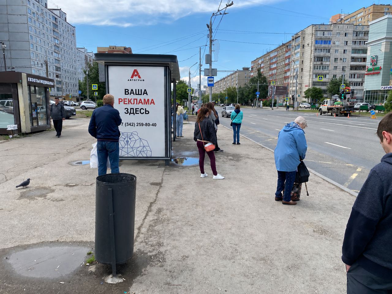 Экраны на остановках, пр. Парковый, 36 (ост. Улица Пожарского)